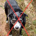 Apartment Saaserhof Saas-Fee